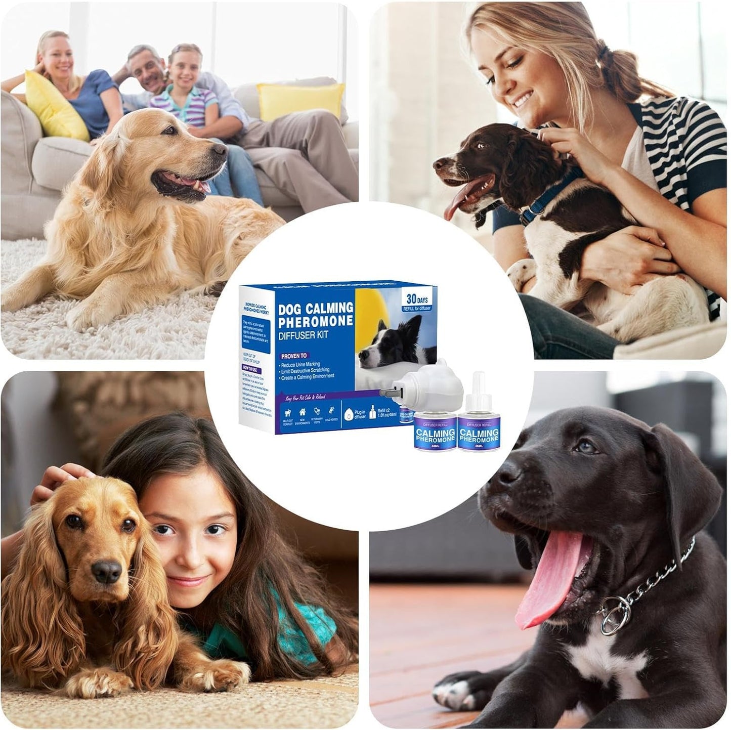 SnugDog Stop-The-Pee Calming Formula (50% OFF Limited Time)